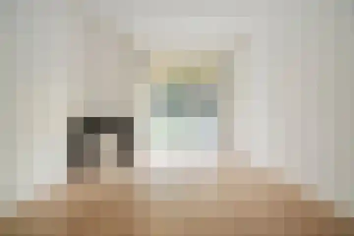 François Maelsonstraat 43 Den Haag thumbnail 38