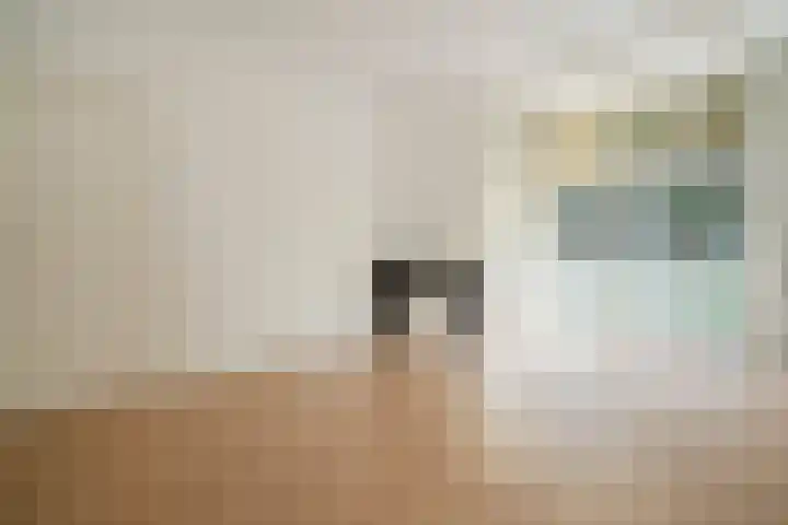 François Maelsonstraat 43 Den Haag thumbnail 39