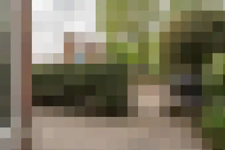 François Maelsonstraat 43 Den Haag thumbnail 4