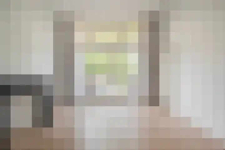 François Maelsonstraat 43 Den Haag thumbnail 42