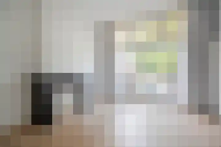François Maelsonstraat 43 Den Haag thumbnail 43