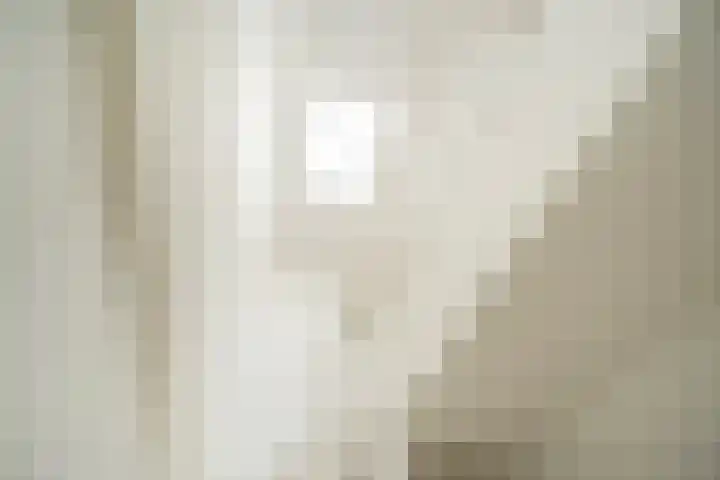 François Maelsonstraat 43 Den Haag thumbnail 47