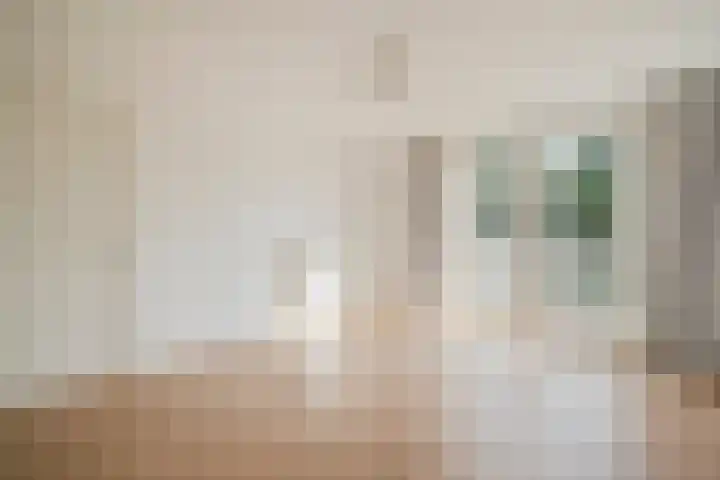 François Maelsonstraat 43 Den Haag thumbnail 53