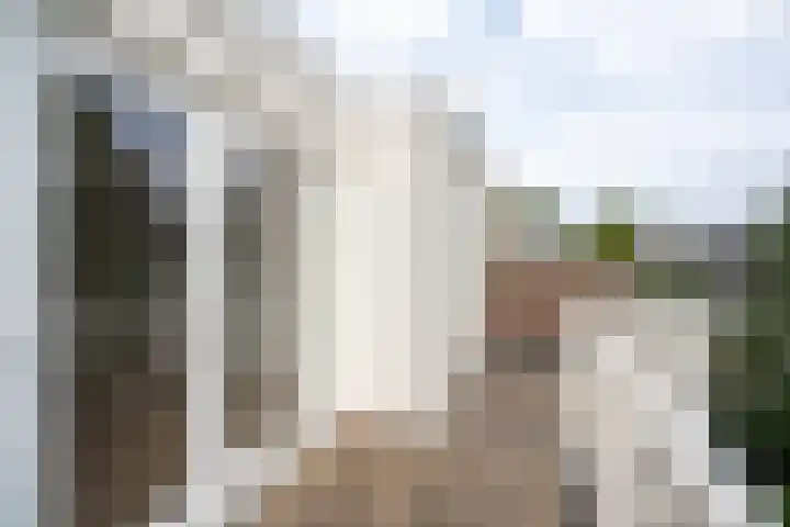 François Maelsonstraat 43 Den Haag thumbnail 54