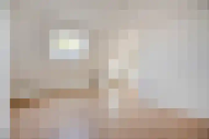 François Maelsonstraat 43 Den Haag thumbnail 56
