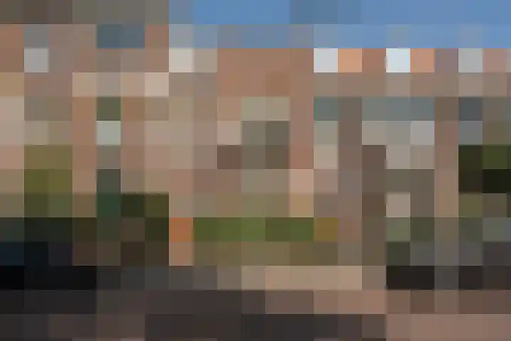 François Maelsonstraat 43 Den Haag thumbnail 59