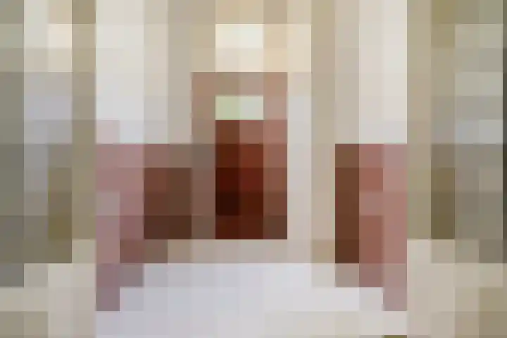 François Maelsonstraat 43 Den Haag thumbnail 6