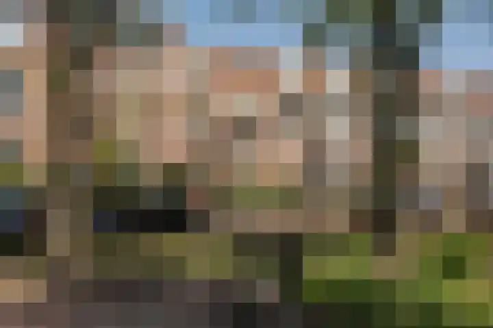 François Maelsonstraat 43 Den Haag thumbnail 65