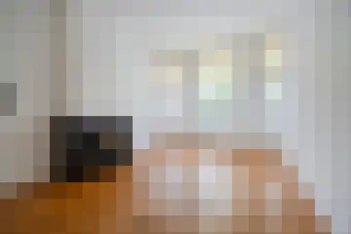 François Maelsonstraat 43 Den Haag thumbnail 9
