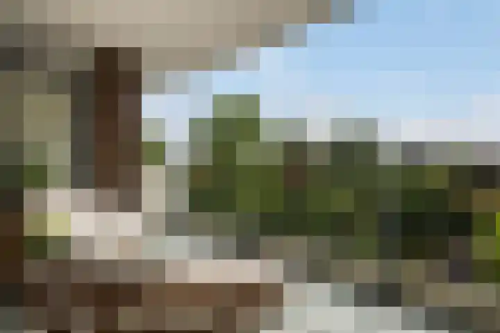 François Mauriacweg 101 De Bilt thumbnail 13