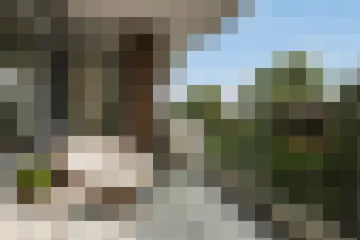 François Mauriacweg 101 De Bilt thumbnail 14