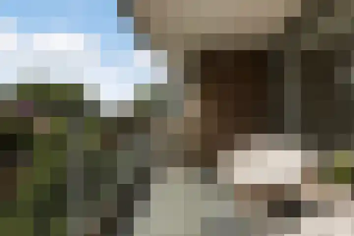François Mauriacweg 101 De Bilt thumbnail 15