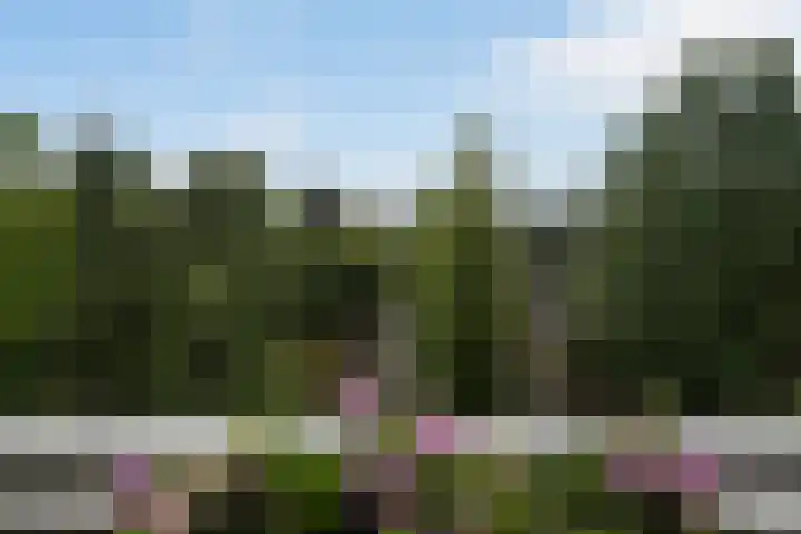 François Mauriacweg 101 De Bilt thumbnail 16