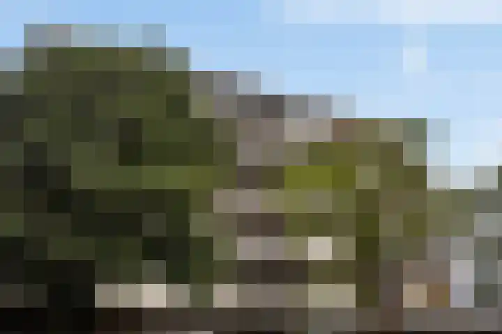 François Mauriacweg 101 De Bilt thumbnail 18