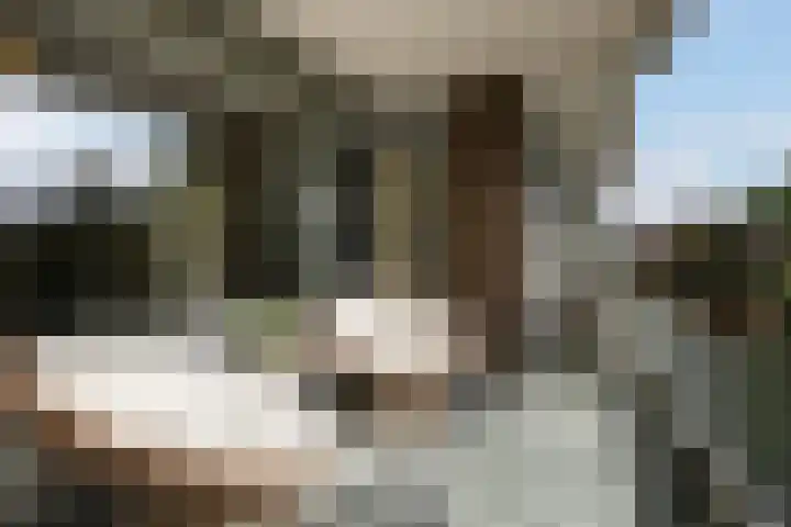 François Mauriacweg 101 De Bilt thumbnail 4