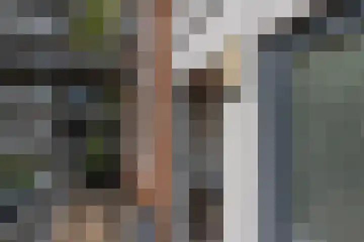 François Mauriacweg 145 De Bilt thumbnail 10