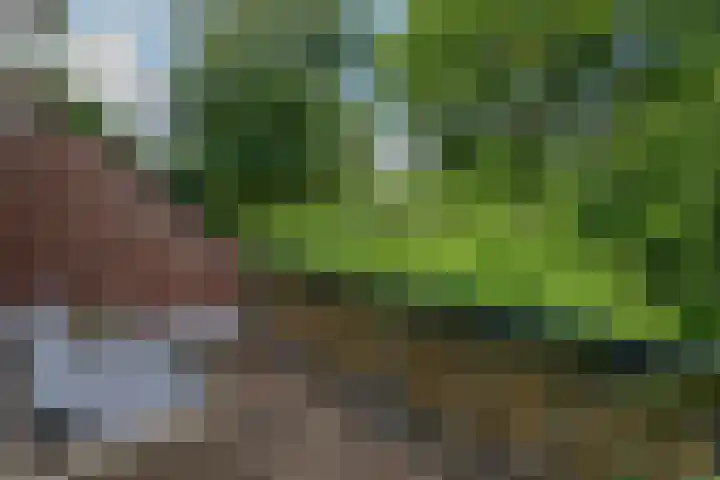 François Mauriacweg 145 De Bilt thumbnail 22