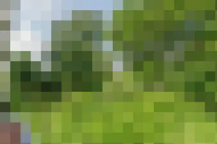 François Mauriacweg 145 De Bilt thumbnail 23