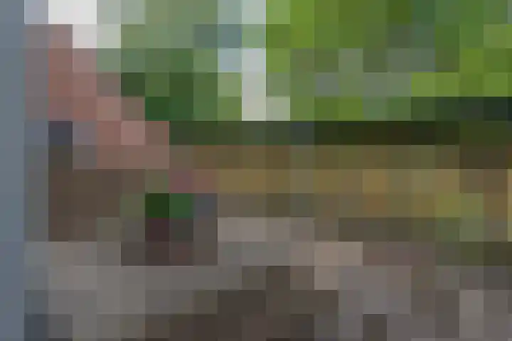 François Mauriacweg 145 De Bilt thumbnail 24