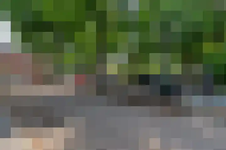 François Mauriacweg 145 De Bilt thumbnail 26