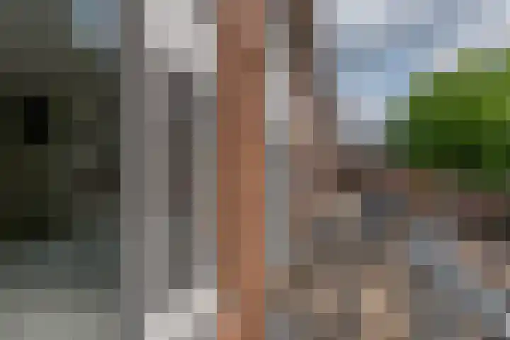 François Mauriacweg 145 De Bilt thumbnail 9