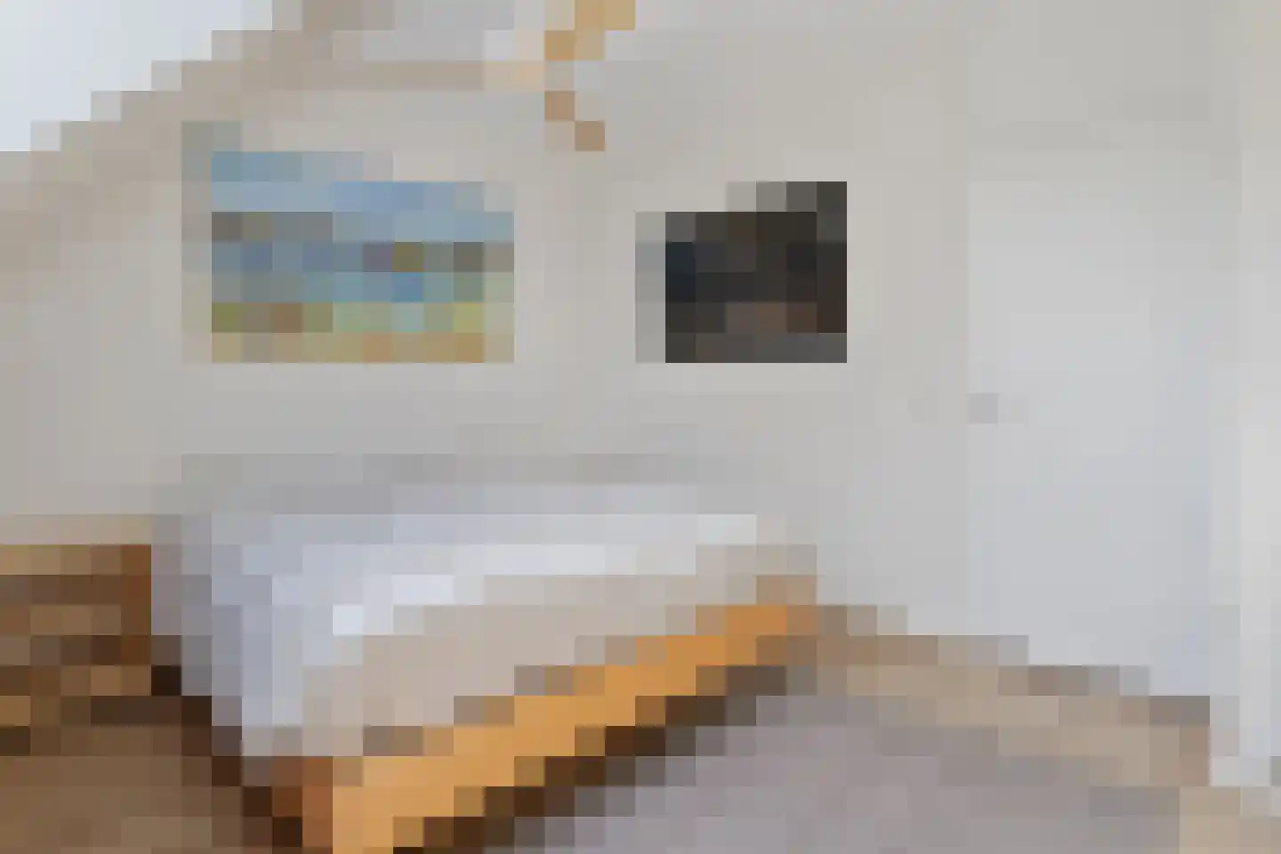 François Mauriacweg 181 De Bilt thumbnail 12