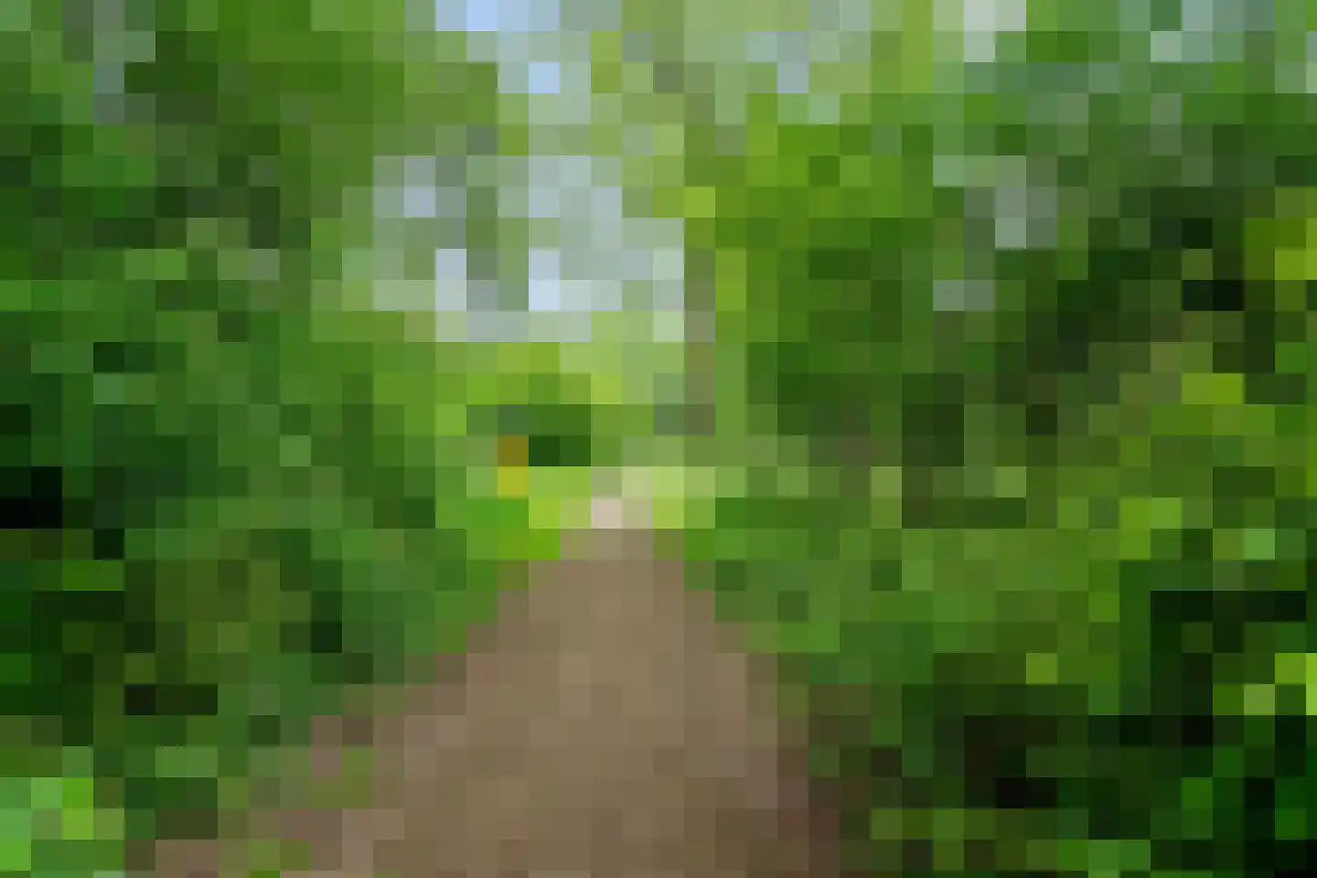 François Mauriacweg 181 De Bilt thumbnail 29