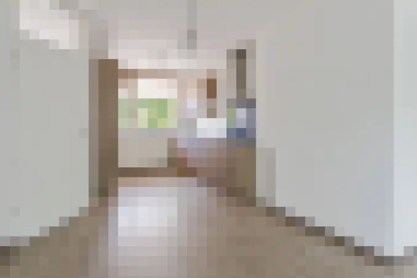 François Mauriacweg 185 De Bilt thumbnail 11