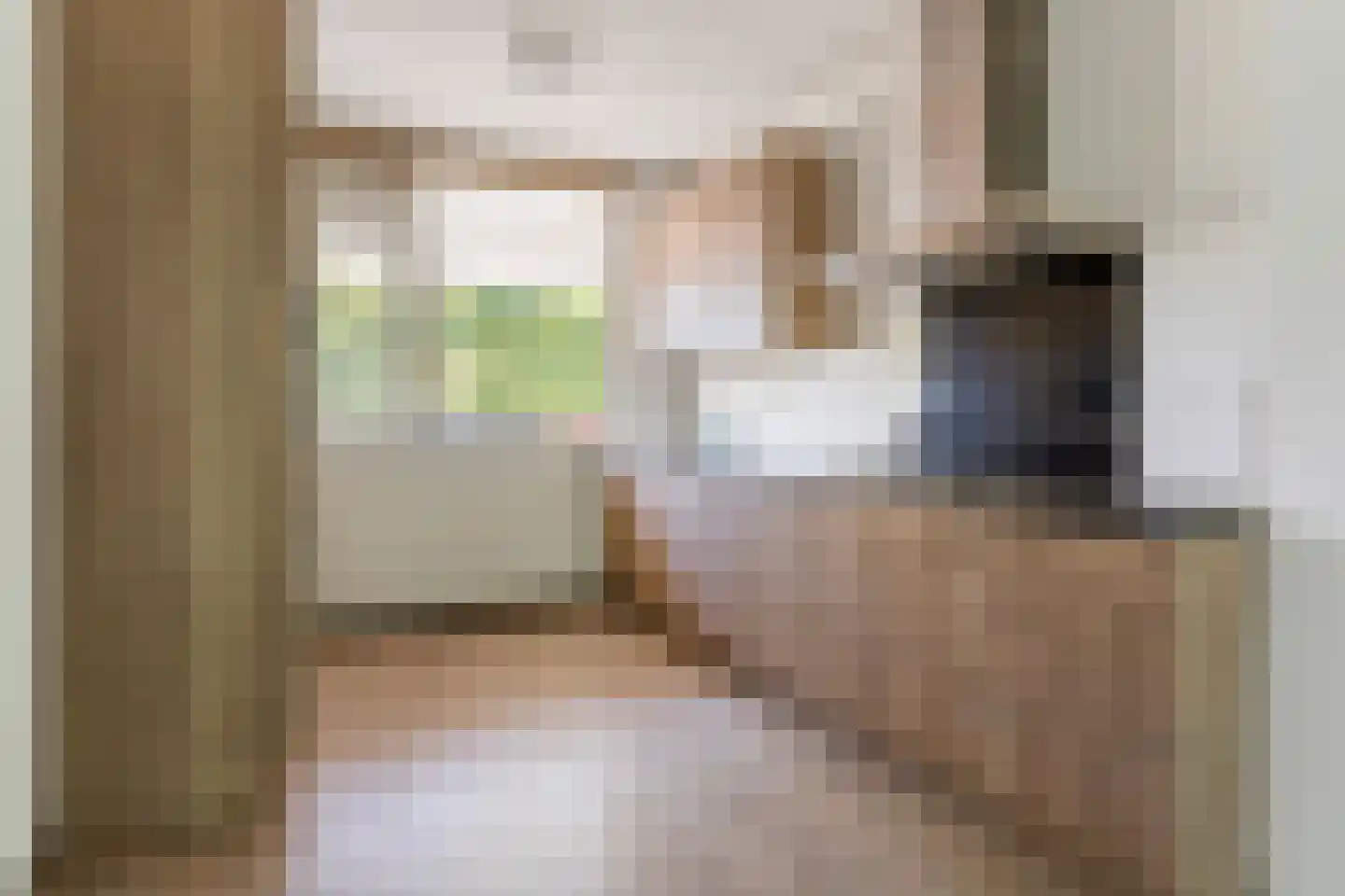 François Mauriacweg 185 De Bilt thumbnail 12