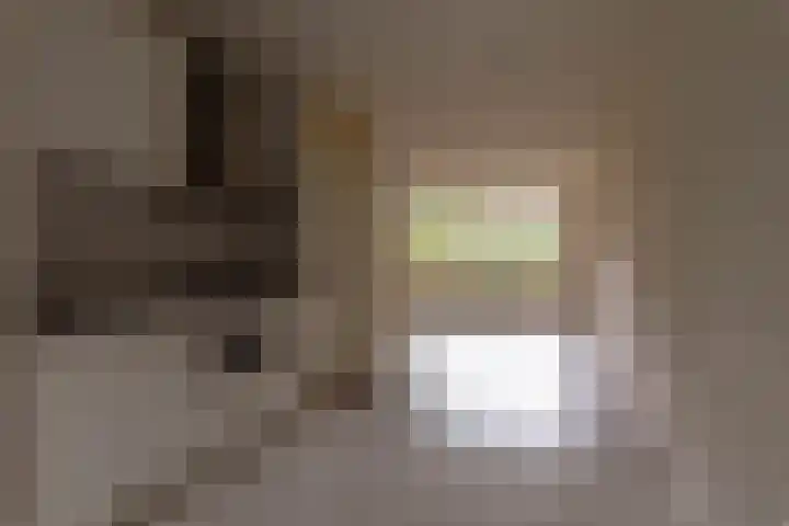 François Mauriacweg 197 De Bilt thumbnail 5