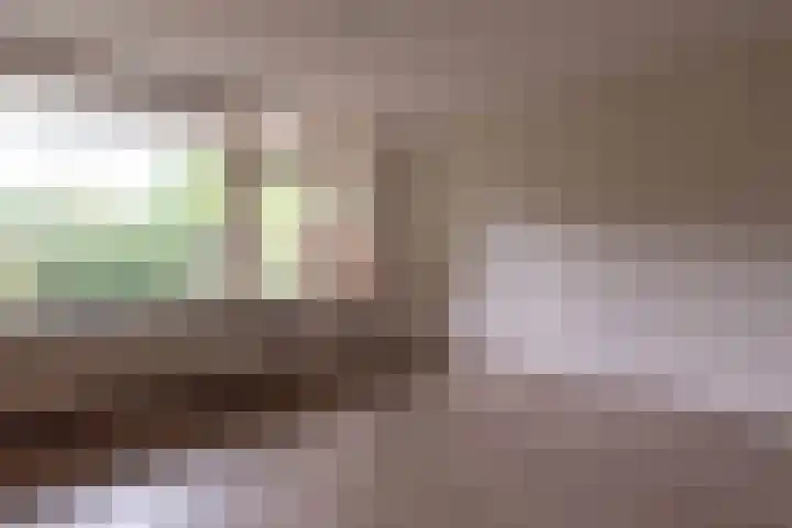 François Mauriacweg 197 De Bilt thumbnail 8
