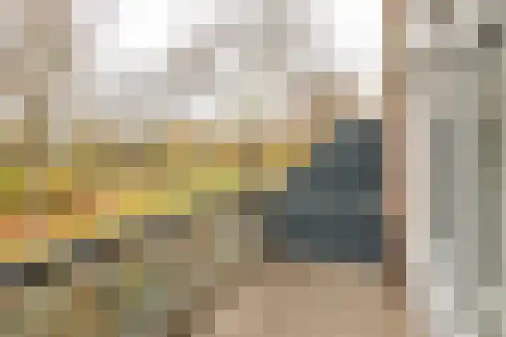 François Mauriacweg 203 De Bilt thumbnail 15