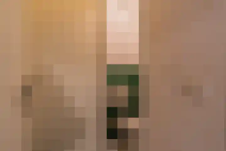 François Mauriacweg 203 De Bilt thumbnail 19