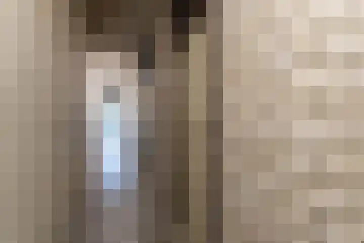 François Mauriacweg 203 De Bilt thumbnail 24