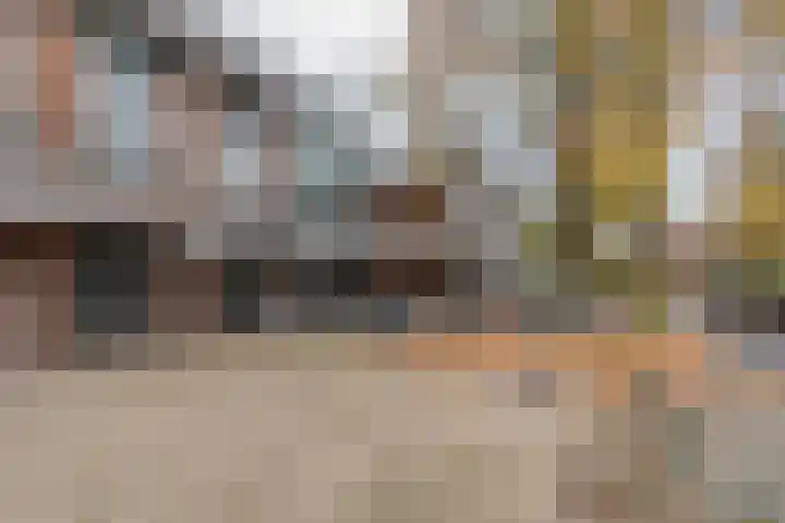 François Mauriacweg 203 De Bilt thumbnail 4