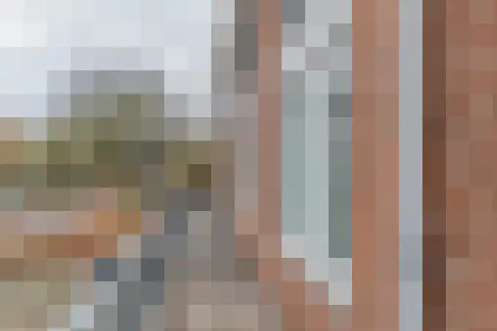 François Mauriacweg 203 De Bilt thumbnail 7