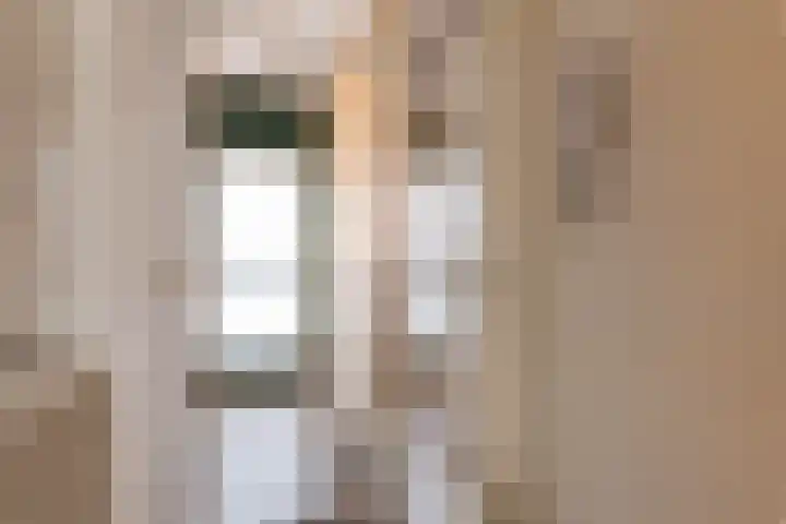 François Mauriacweg 203 De Bilt thumbnail 9