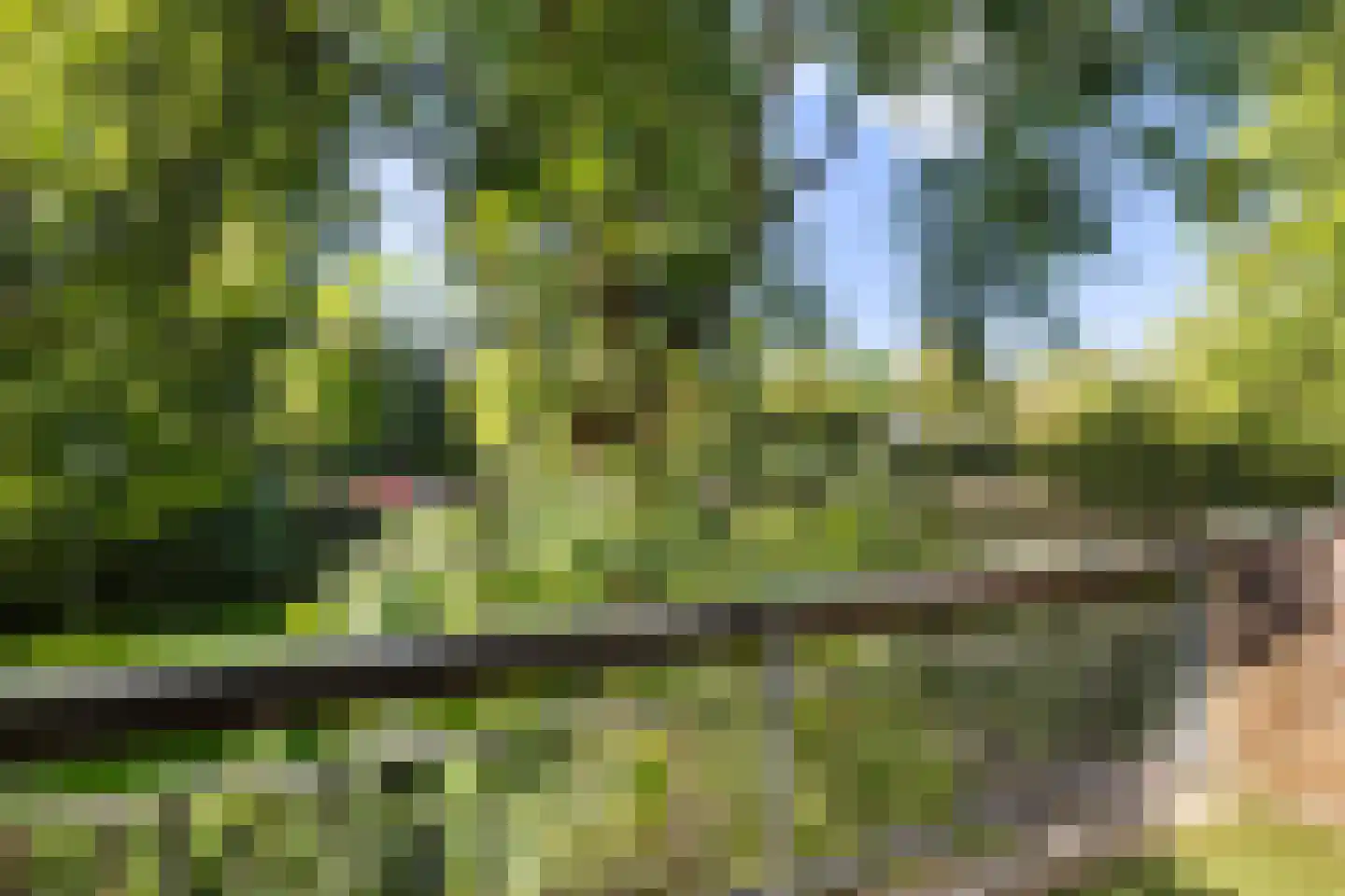 François Mauriacweg 209 De Bilt thumbnail 5