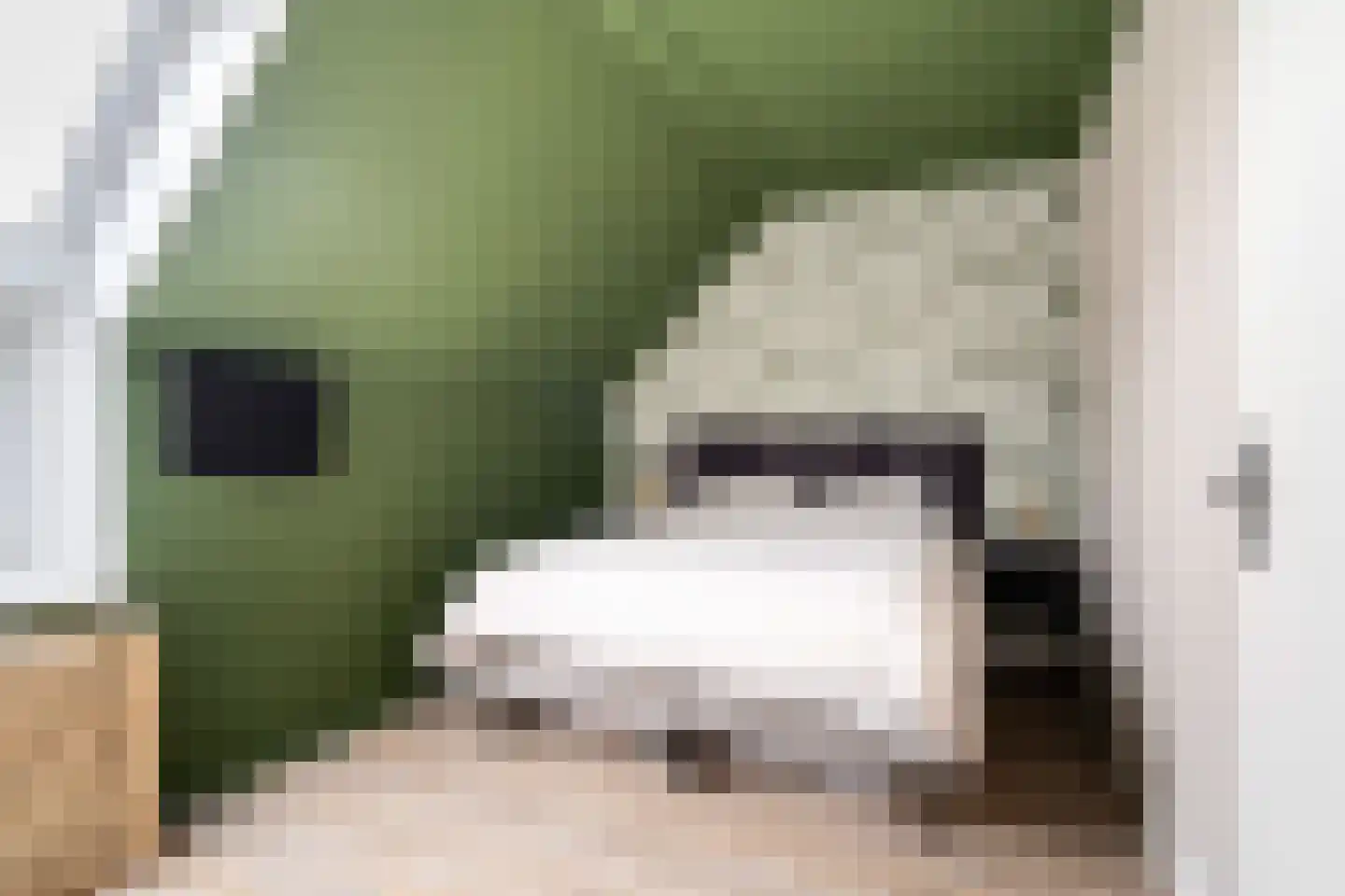 François Mauriacweg 239 De Bilt thumbnail 18