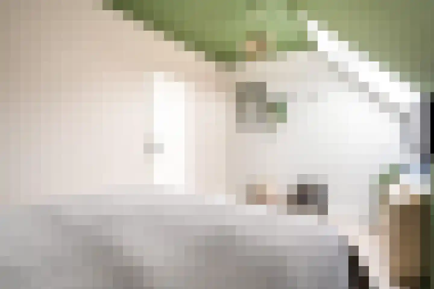 François Mauriacweg 239 De Bilt thumbnail 19