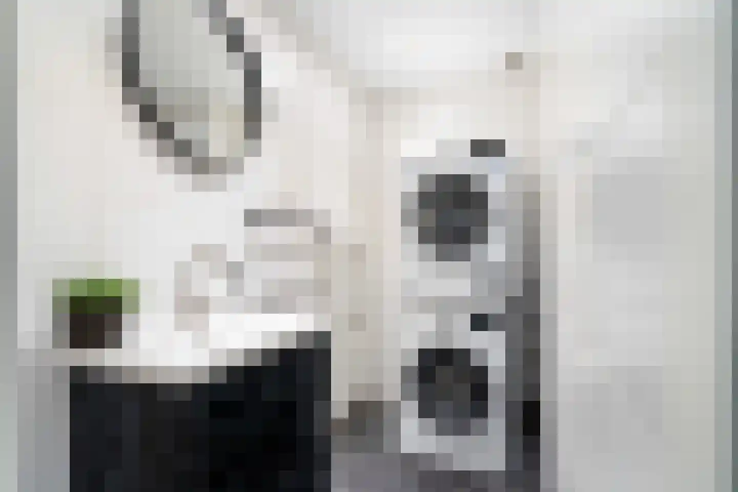 François Mauriacweg 239 De Bilt thumbnail 21