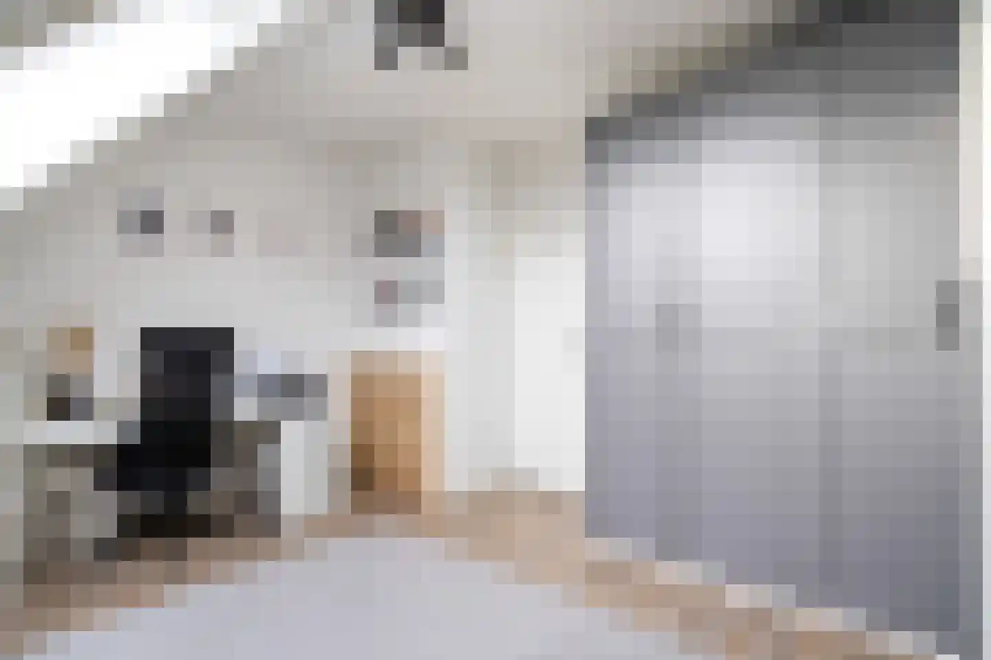 François Mauriacweg 239 De Bilt thumbnail 23