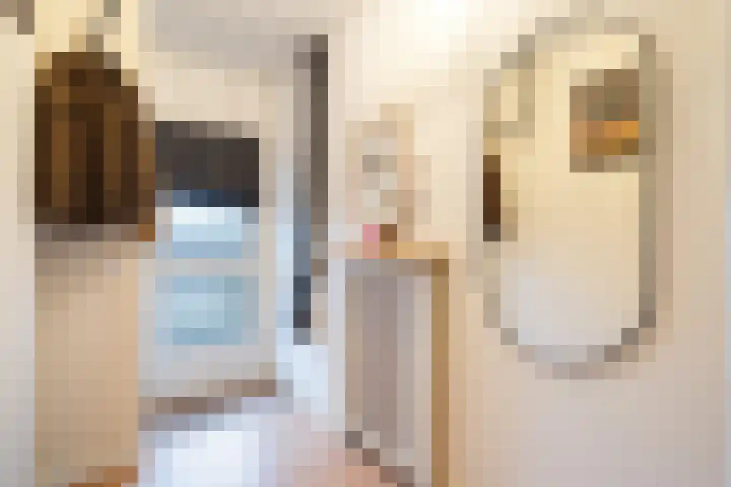 François Mauriacweg 239 De Bilt thumbnail 25