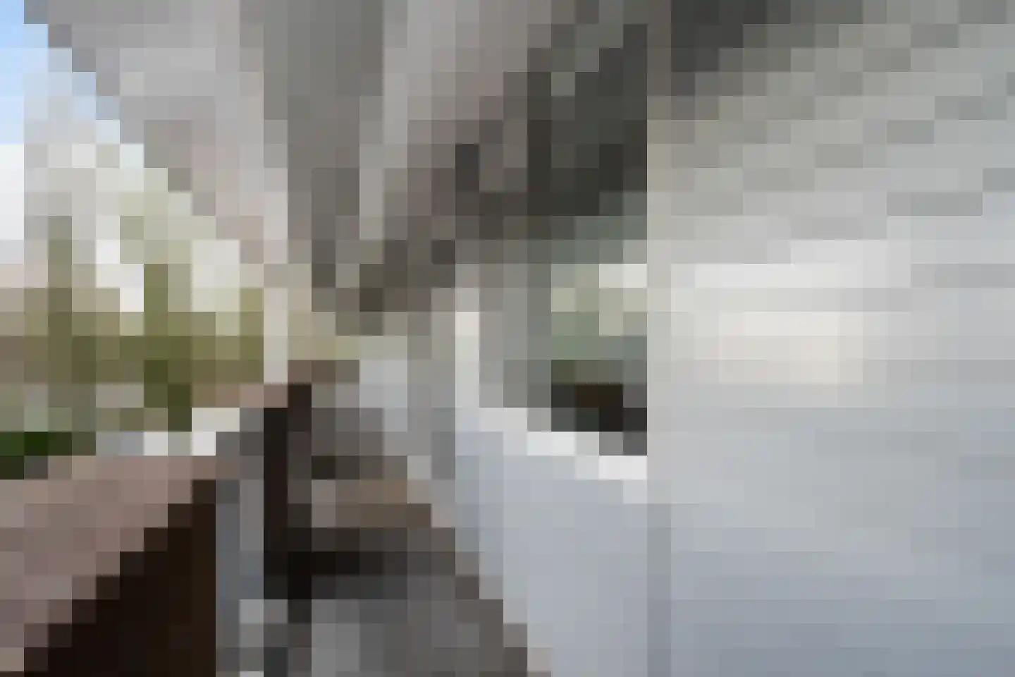 François Mauriacweg 239 De Bilt thumbnail 27