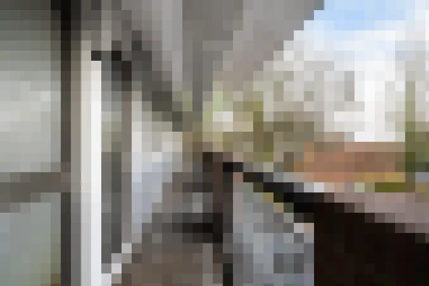 François Mauriacweg 239 De Bilt thumbnail 28