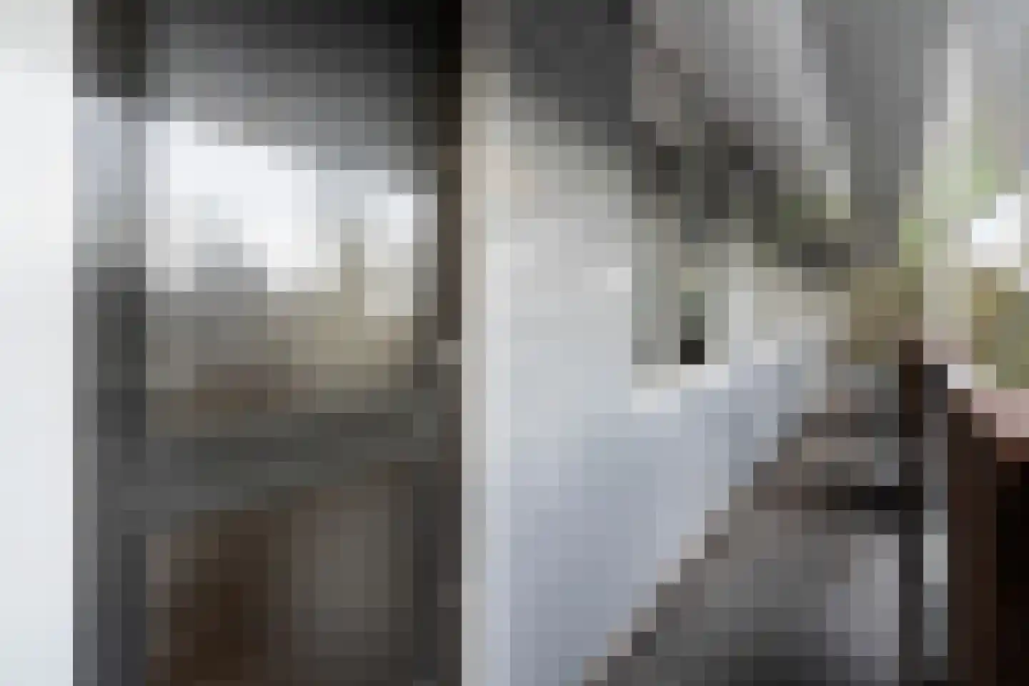 François Mauriacweg 239 De Bilt thumbnail 29