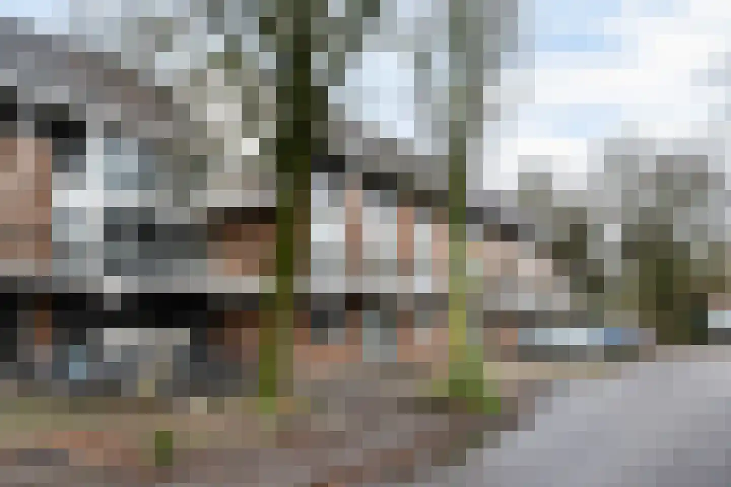 François Mauriacweg 239 De Bilt thumbnail 31