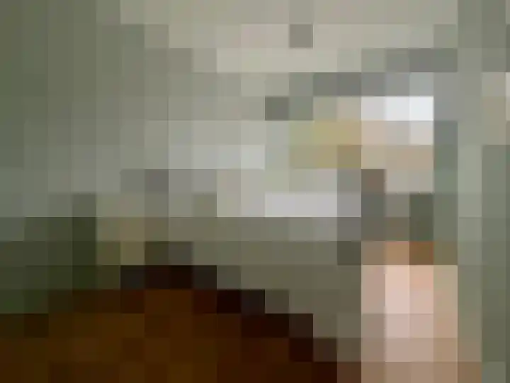 François Mauriacweg 37 De Bilt thumbnail 13
