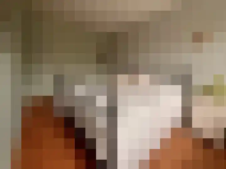 François Mauriacweg 37 De Bilt thumbnail 14