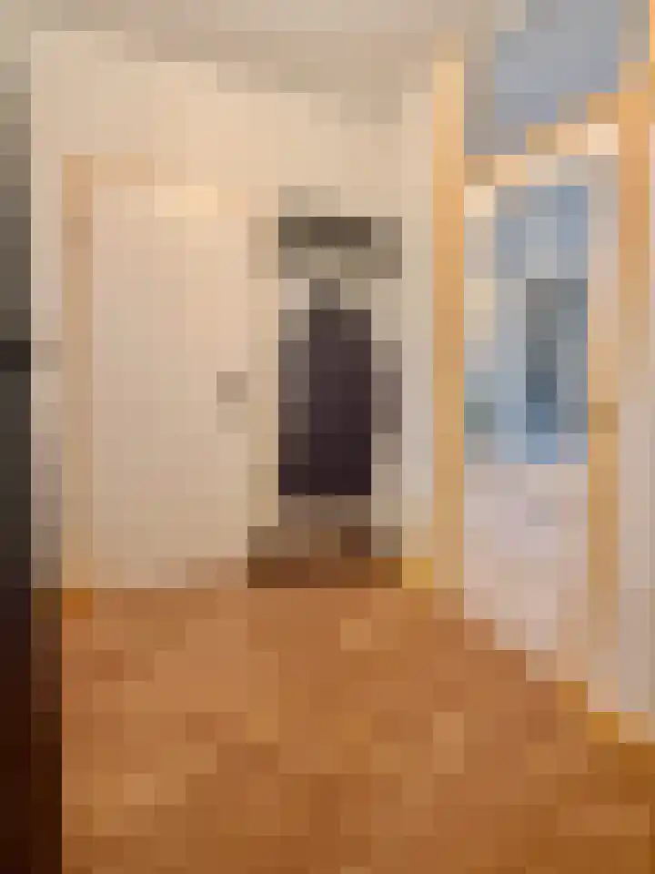 François Mauriacweg 37 De Bilt thumbnail 18